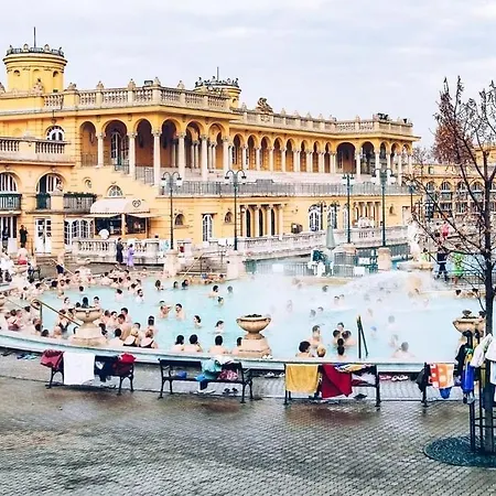 Designer Boutique 2r Walk To Opera House & Basilica * Budapest
